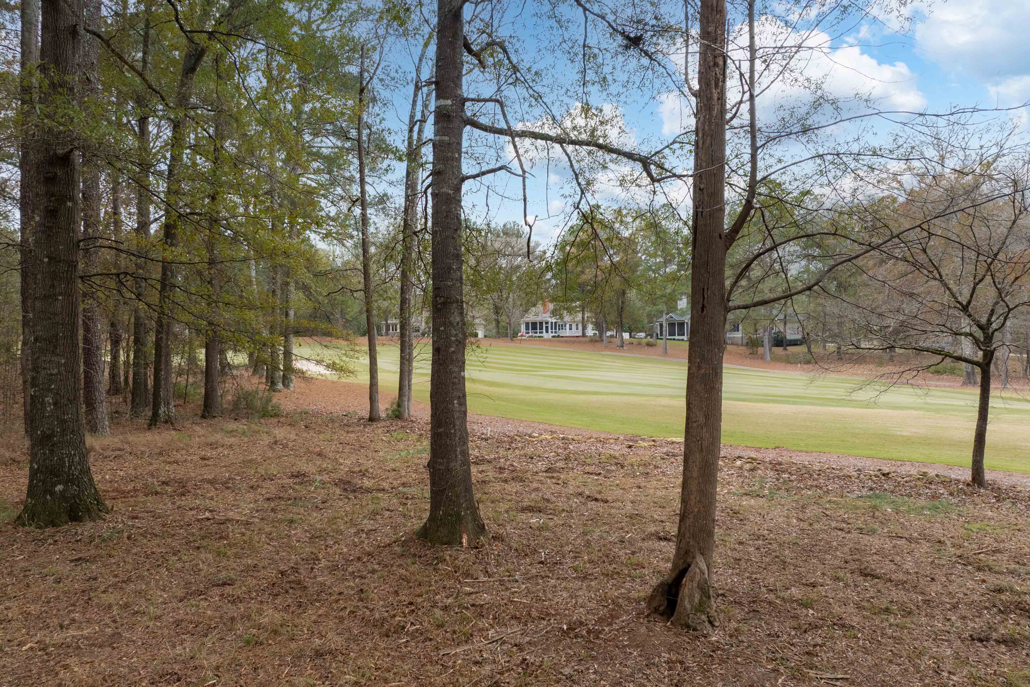 164 Hopeton Lane image 7